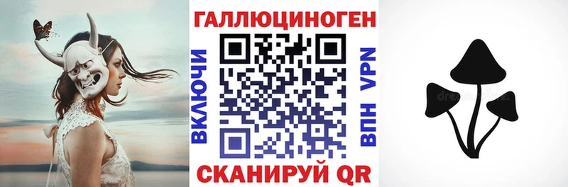 где купить наркоту Лукоянов Галлюциногенные грибы Psilocybe